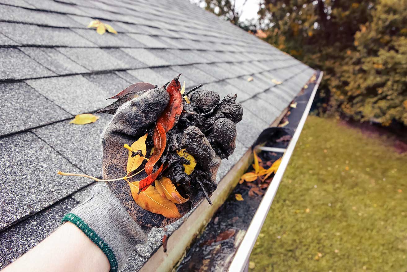 Roof gutter being cleared of leaves and debris