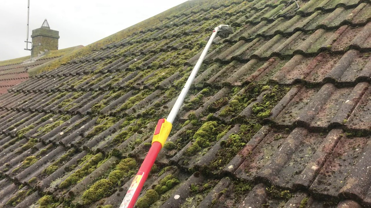 Roof tiles with moss and algae being removed